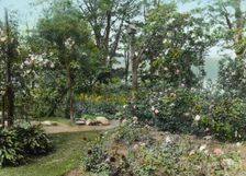 "Willowmere," Rear Admiral Aaron Ward house, 435 Bryant Avenue, Roslyn Harbor, New York, 1914. Creator: Frances Benjamin Johnston