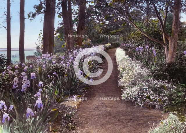 "Willowmere," Rear Admiral Aaron Ward house, 435 Bryant Avenue, Roslyn Harbor, New York, c1914. Creator: Frances Benjamin Johnston.