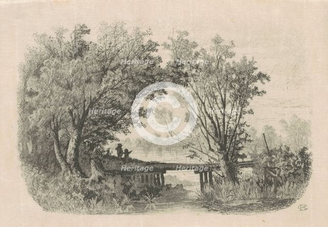 Willows, 1870s-1880s. Creator: Carl C. Brenner.