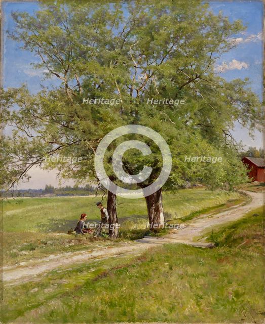 Willows, 1897. Creator: Hjalmar Munsterhjelm.