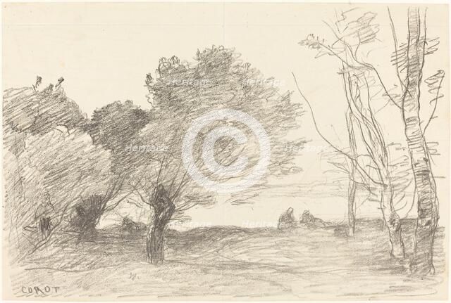 Willows and White Poplars (Saules et peupliers blancs), 1871. Creator: Jean-Baptiste-Camille Corot.