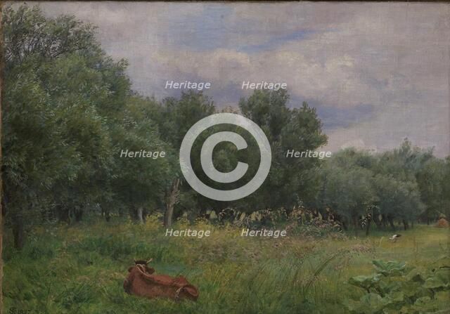 Willows at the edge of a meadow near Nyso, 1897. Creator: Niels Skovgaard.