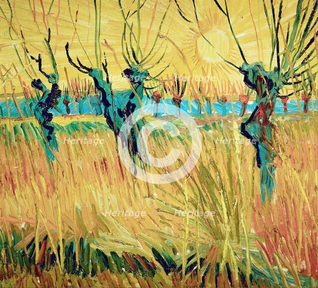 Willows at sunset, 1888. Creator: Gogh, Vincent, van (1853-1890).