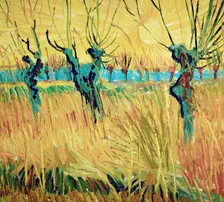 Willows at sunset, 1888. Creator: Gogh, Vincent, van (1853-1890)