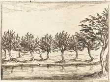 Willows by the Water's Edge, 1628. Creator: Jacques Callot