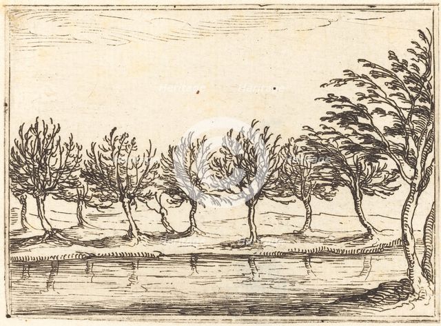 Willows by the Water's Edge, 1628. Creator: Jacques Callot.