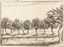 Willows by the Water's Edge, 1628. Creator: Jacques Callot