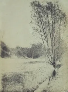 Willows, c1900. Creator: Frances S. Allen