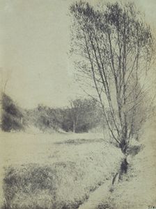 Willows, c1900. Creator: Frances S. Allen