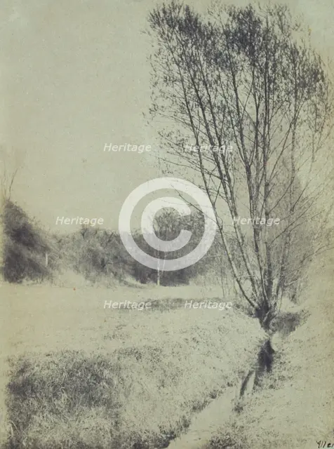 Willows, c1900. Creator: Frances S. Allen.
