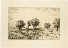 Willows in a Landscape, 1844. Creator: Charles Emile Jacque