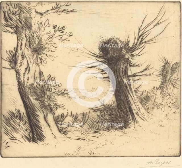 Willows (Les saules). Creator: Alphonse Legros.