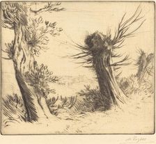 Willows (Les saules). Creator: Alphonse Legros