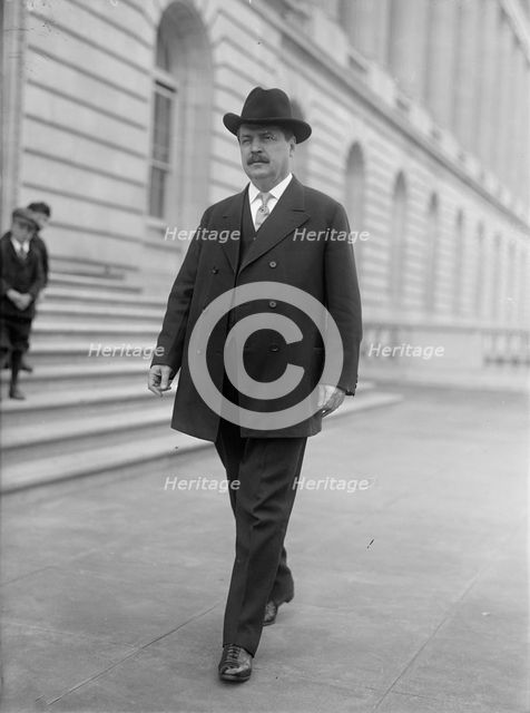 William A. Rodenberg, Rep. from Illinois, 1913.  Creator: Harris & Ewing.
