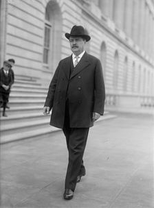 William A. Rodenberg, Rep. from Illinois, 1913. Creator: Harris & Ewing