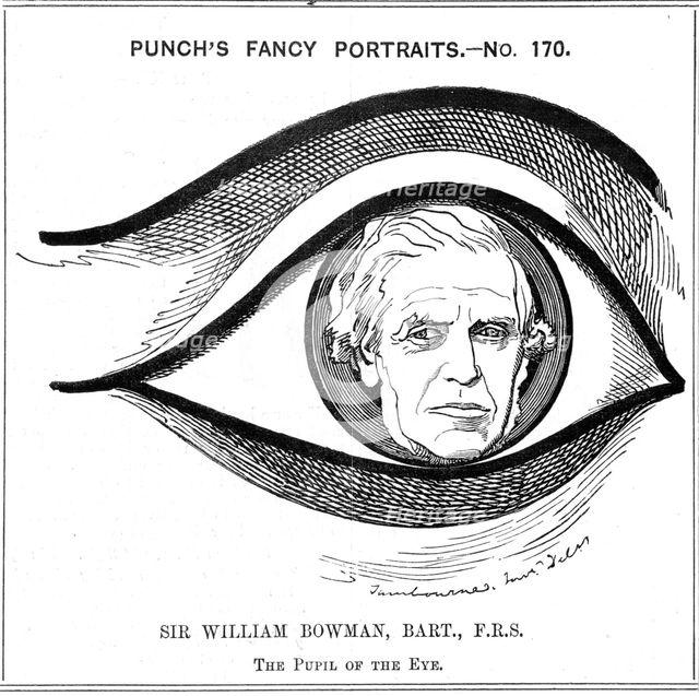 William Bowman, English anatomist, surgeon and ophthalmologist, 1884. Creator: Edward Linley Sambourne.
