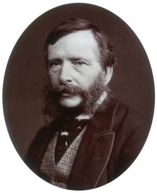 William Charles Thomas Dobson, artist and Royal Academician, 1881. Creator: Lock & Whitfield