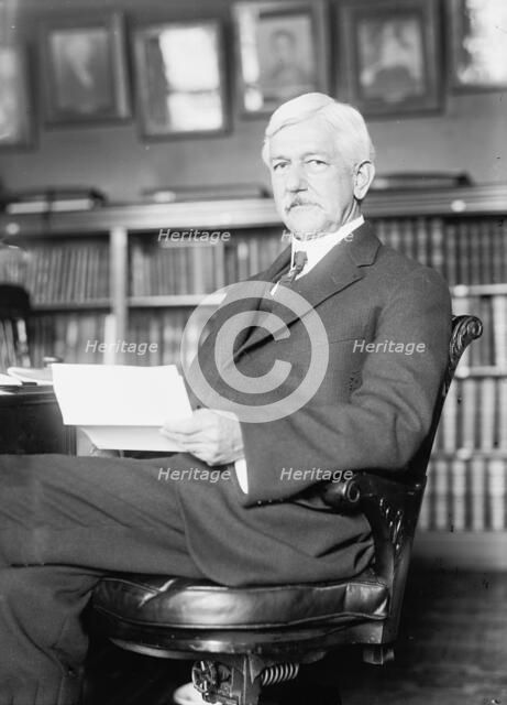 William Crawford Gorgas, Surgeon General, U.S.A., 1914. Creator: Harris & Ewing.