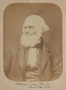 William Cullen Bryant, 1860. Creator: Rintoul & Rockwood