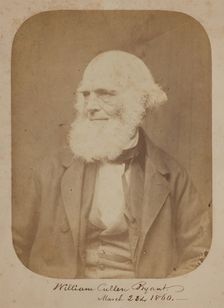 William Cullen Bryant, 1860. Creator: Rintoul & Rockwood