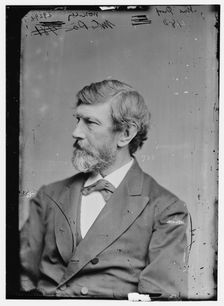 William Darrah Kelley of Pennsylvania, between 1870 and 1880. Creator: Unknown
