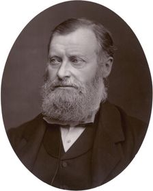 William Edward Forster MP, 1878. Creator: Lock & Whitfield