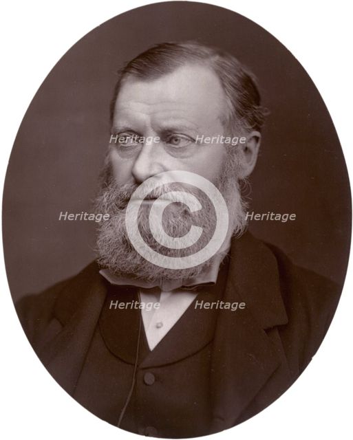 William Edward Forster MP, 1878. Creator: Lock & Whitfield.