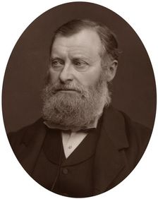 William Edward Forster MP, 1878.Artist: Lock & Whitfield