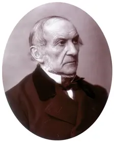 William Ewart Gladstone MP, British Liberal Prime Minister, 1882. Creator: Lock & Whitfield