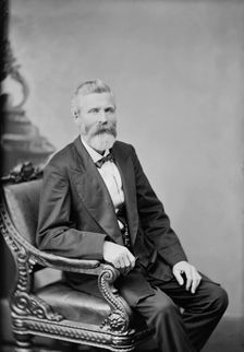 William Ferguson Slemons of Arkansas, between 1865 and 1880. Creator: Unknown