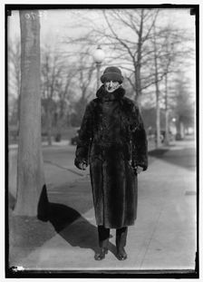 William G. McAdoo, between 1914 and 1918. Creator: Harris & Ewing