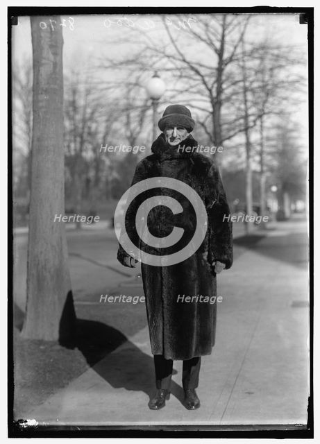 William G. McAdoo, between 1914 and 1918. Creator: Harris & Ewing.