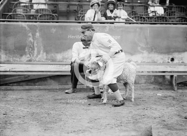 William "Germany" Schaefer, Washington Al (Baseball), 1912. Creator: Harris & Ewing.