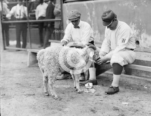 William "Germany" Schaefer, Washington Al (Baseball), 1912. Creator: Harris & Ewing.