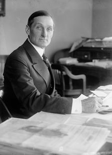 William Gibbs McAdoo, Secretary of The Treasury, at Desk, 1918. Creator: Harris & Ewing