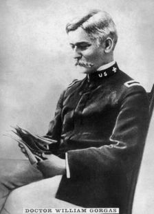 William Gorgas, (1854-1920), 1920s