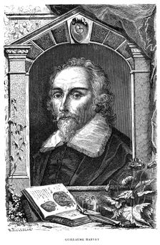 William Harvey (1578-1657) English physician, c17th century. Creator: Unknown