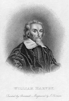 William Harvey (1578-1657) English physician, c17th century. Creator: Unknown