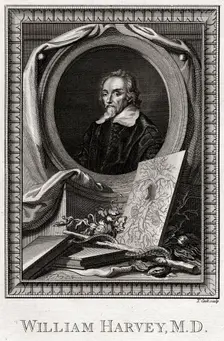 William Harvey 1777. Artist: Thomas Cook