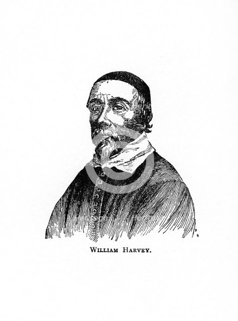 William Harvey, 17th century English physician, (20th century). Artist: Unknown