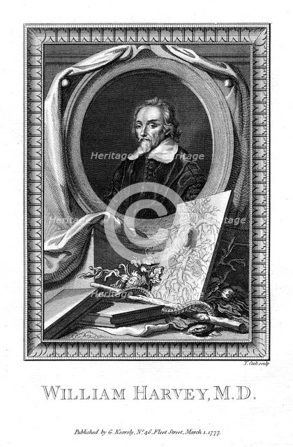 William Harvey, medical doctor, 1777.Artist: T Cook