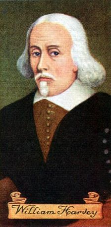 William Harvey, taken from a series of cigarette cards, 1935