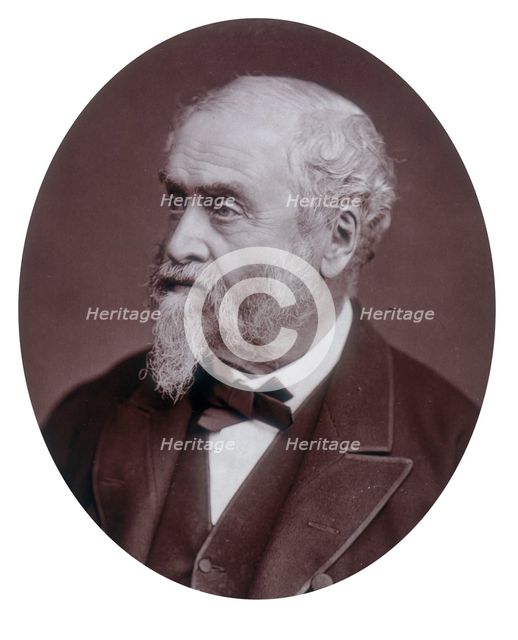 William Harrison Ainsworth, author, 1881 Creator: Lock & Whitfield.