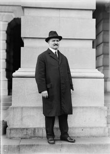 William Musgrave Calder, Rep. from New York, 1917. Creator: Harris & Ewing