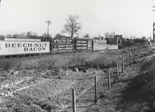 Willliamsbridge looking towards Gun Hill Road, Bronx, New York, c1907. Creator: Frances Benjamin Johnston