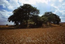 Willy Howe, East Riding of Yorkshire, England, 20th century. Artist: CM Dixon