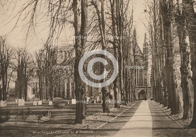 Winchester Cathedral and Avenue, Hampshire, early 20th century(?).  Artist: Unknown.