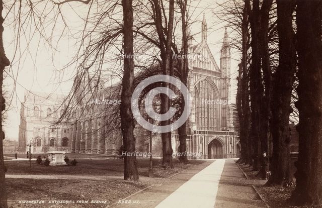 Winchester Cathedral from the Avenue, between 1870 and 1880. Creator: James Valentine.