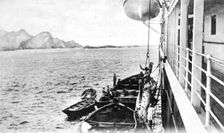 Winching a cow onto a boat off the coast of Chile, c1900s