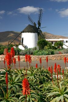 Windmill, Antigua, Fuerteventura, Canary Islands. Creator: Peter Thompson